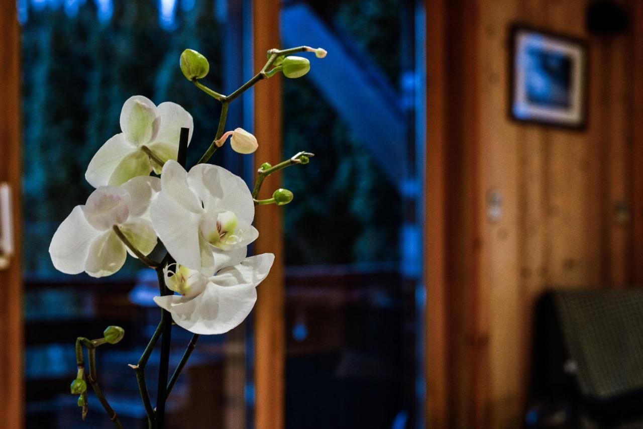 Yeti Lodge Rooms 阿让蒂耶尔 外观 照片